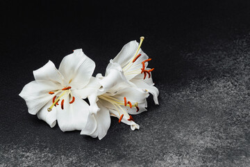White lilies delicately arranged on a dark textured surface in natural light