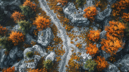 Top-down autumn forest path, medieval fantasy style, realistic DnD battlemap, orange trees, white backdrop.