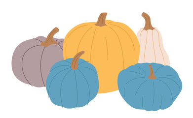 Pumpkin harvest. October vegetables, fall seasonal crops, natural agriculture food.