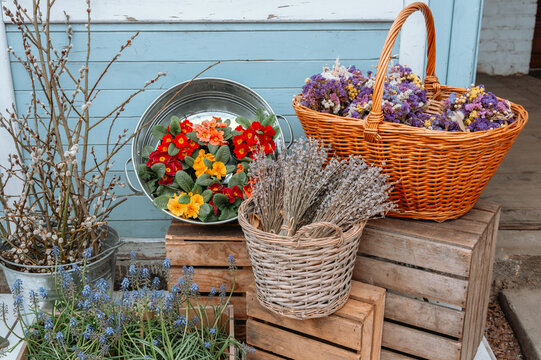 Vibrant flower arrangements displayed in rustic baskets by a blue wall