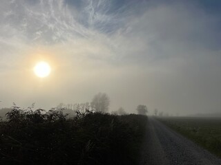 road in a foggy morning 