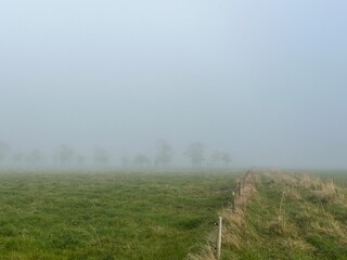 misty morning in the field