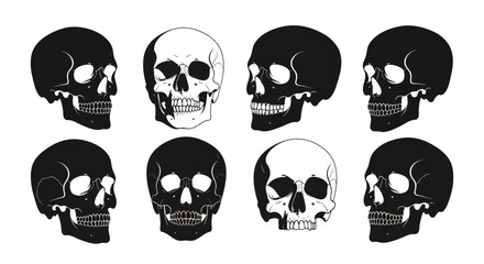 Human skull illustration set with multiple angles and views
