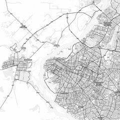 Asuncion Area Map with Labels and Neighborhoods - One color, minimalistic design