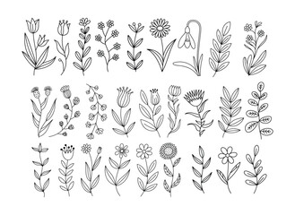 Hand-drawn Floral Line Art Set