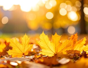 Fototapeta premium Golden autumn leaves (1)