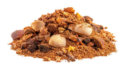 Pile of beach treasures