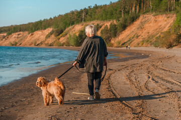 A curly-haired brown Labradoodle or Cavapoo dog with a adult woman are best friends by the sea at sunset.