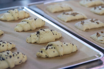 Freshly prepared croissants on baking trays before being baked in the oven