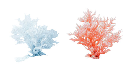 Two coral branches, one light blue, the other coral red, detailed and intricate designs