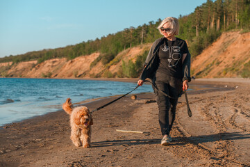 A curly-haired brown Labradoodle or Cavapoo dog with a adult woman are best friends by the sea at sunset.