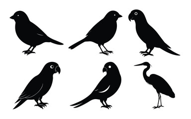 bird breeds silhouette on a white background