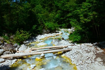 Logs over Martuljek stream in Julian alps, Gorenjska, Slovenia