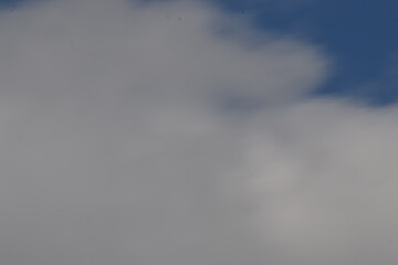 white clouds in the sky