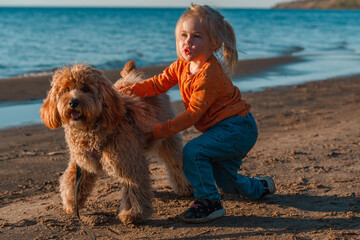 A curly-haired brown Labradoodle or Cavapoo dog with a little child girl are best friends by the sea at sunset.