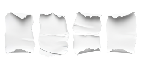 Ripped Paper Fragments (1)