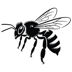 bee vector illustration