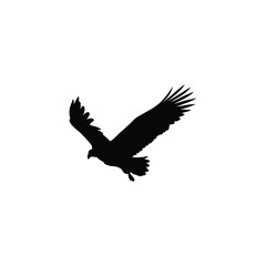 Eagle in Glide Position Silhouette