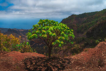Stunning view from Serra Malagueta, Santiago Island, Cape Verde – overlooking lush valleys, rugged peaks, and the distant Atlantic Ocean in a dramatic tropical landscape