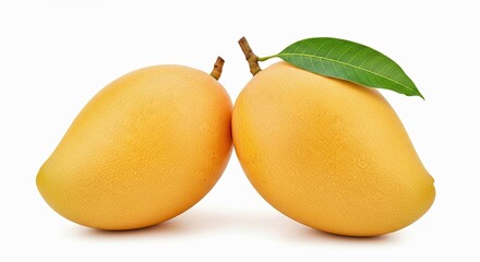 Alphonso Yellow Mango Fruit Duo Stems Green Leaf Isolated White Background Sweet