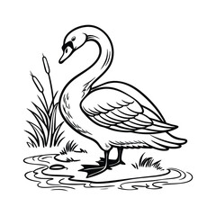 Swan on the lake vector line art illustration design