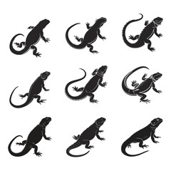 Lizard Uromastyx set vector art silhouette design