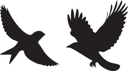 eagle vector illustration