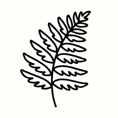 Fototapeta premium Line drawing of a fern leaf outline on a white background 