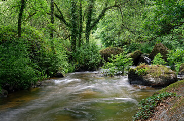 Obraz premium rivière du chaos du gouet au milieu de la fôret - entre plaintel et saint julien - baie de saint brieuc