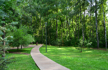 A serene wooden path winds through a lush green park no people
