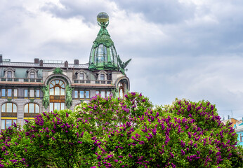 Spring Petersburg. Beautiful blooming lilac against the backdrop of the famous bookstore on Nevsky...