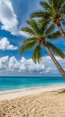 Paradise Palms Beach