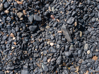 Black shungite pebbles on the beach of Lake Onega in Karelia