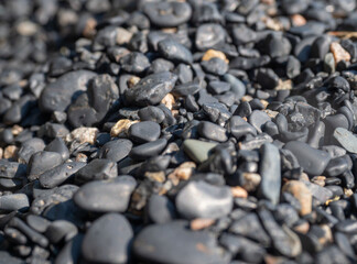 Black shungite pebbles on the beach of Lake Onega in Karelia