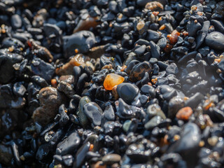 Black shungite pebbles on the beach of Lake Onega in Karelia