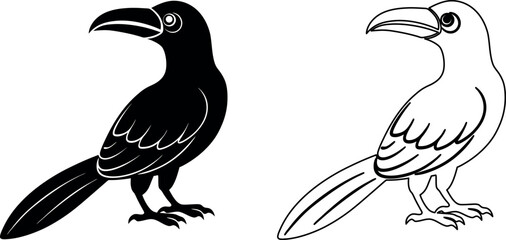 Hornbill Bird Vector Illustration Detailed Design for Graphic Projects and Creative Use