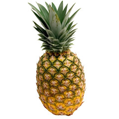 Fototapeta premium pineapple isolated on white background