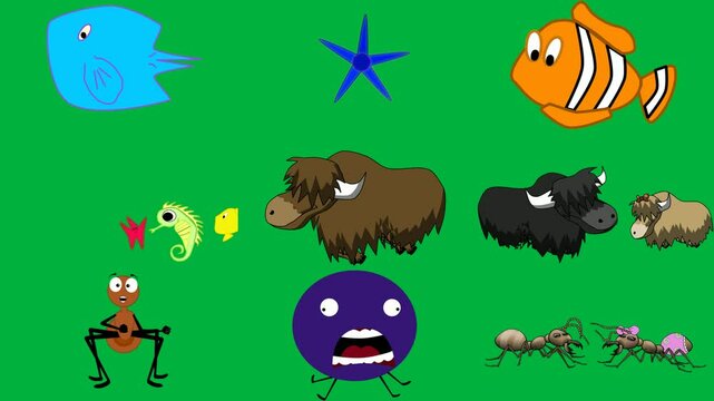 blue fish green background star orange black white stripes screen cartoon bison standing bull buffalo side character sitting ant drawing bird it red how draw step yellow two bisons facing.