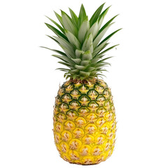 Fototapeta premium pineapple on white background