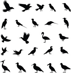 Obraz premium Elegant Bird Silhouettes Design Perfect for Branding Logos and Website Decoration