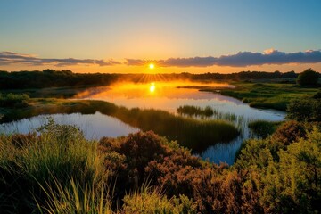 Obraz premium Sunrise over a Misty Marsh