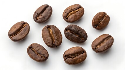 Obraz premium coffee arabica