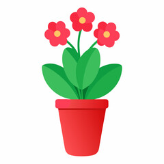 Blooming kalanchoe plant in stylish pot illustration