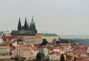 Obraz premium Prague Castle skyline with St Vitus Cathedral spires
