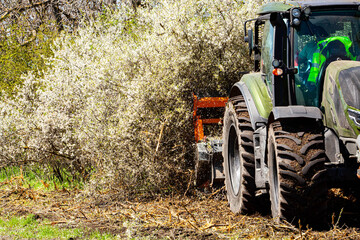 Against a background of nature, a tractor-type machine is captured cutting and clearing forests in...