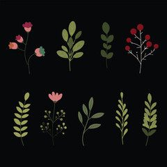 set of flowers and leaves