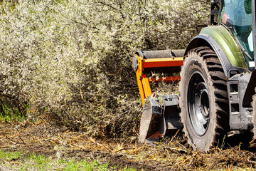 Against a background of nature, a tractor-type machine is captured cutting and clearing forests in nature. Deforestation is a big problem. This device cuts everything in its path such as trees, bushes
