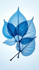 Serene Blue Leaves Abstract Nature Photography, Botanical Art, Leaf Skeleton, Translucent Foliage,  Elegant Nature Design
