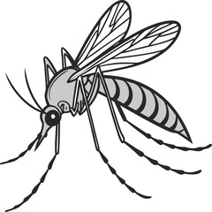 Mosquito spider and fly