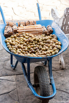 wheelbarrow with coyules and ocote branches